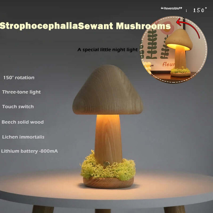 Twisted Mushroom Night Warm Light Touch Bedroom Bedhead Night Light Beech Wood LED USB Decorative Atmosphere Lamps Home Decor | Kalsten
