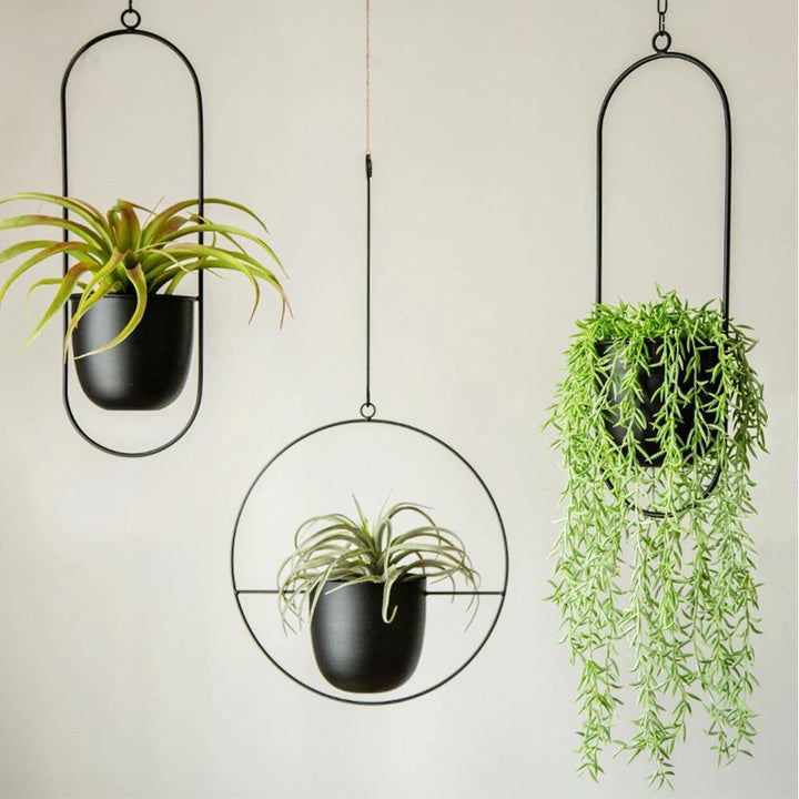 HaloRing Hanging Plant Holder – Metal Hanging Planter for Indoor and Outdoor | Kalsten