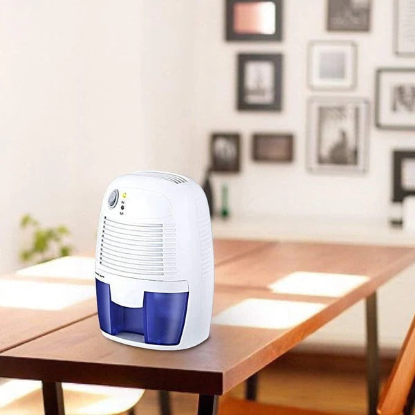 Powerful Portable Mini Basement Garage Crawl Space Home Dehumidifier | Kalsten