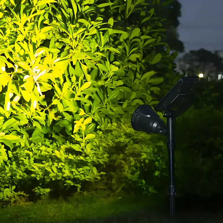 Solar Garden Light with Ground Stake Kalsten