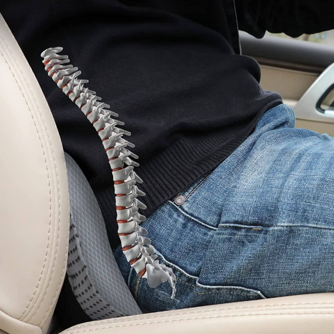 Kalsten | Car seat cushion for Adults