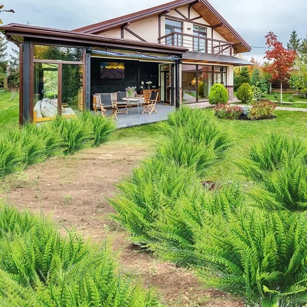 Kalsten | UV Resistant Artificial Boston Fern | Lifelike, Waterproof & Maintenance-Free for Outdoor Décor