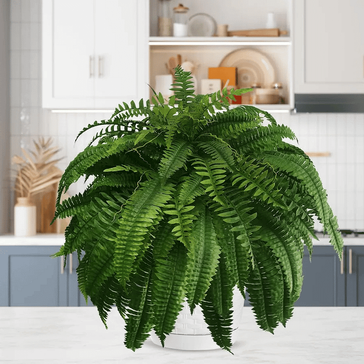 Kalsten | UV Resistant Artificial Boston Fern | Lifelike, Waterproof & Maintenance-Free for Outdoor Décor