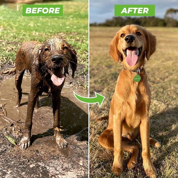 PetWash 360° High-Pressure Dog Wash Spray (3 Modes)