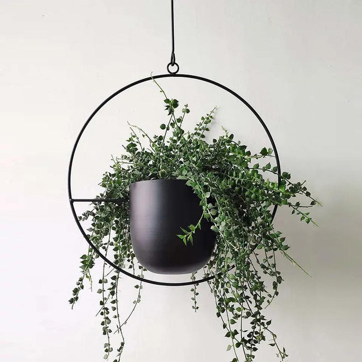HaloRing Hanging Plant Holder – Metal Hanging Planter for Indoor and Outdoor | Kalsten