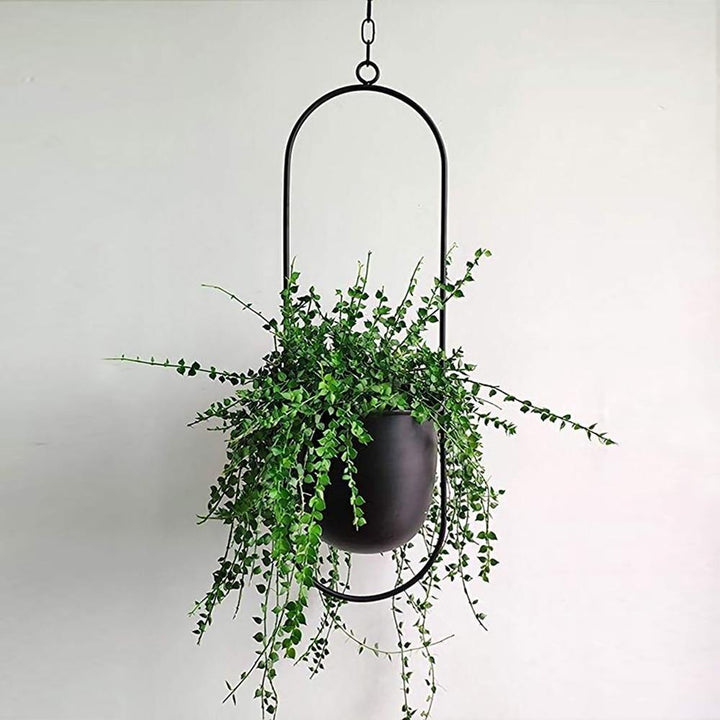 HaloRing Hanging Plant Holder – Metal Hanging Planter for Indoor and Outdoor | Kalsten
