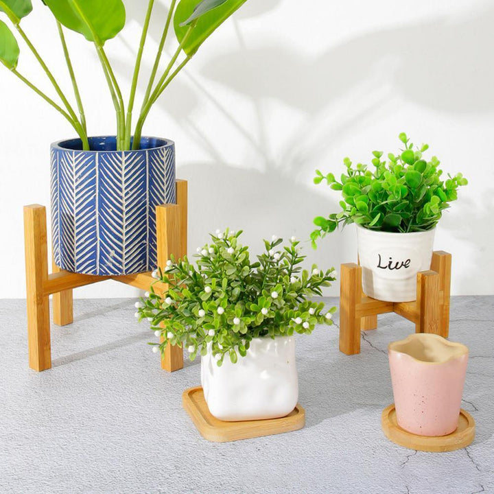 Kalsten | Elevate Plant Stand made of solid wood | Adjustable & Stable | Perfect for indoors