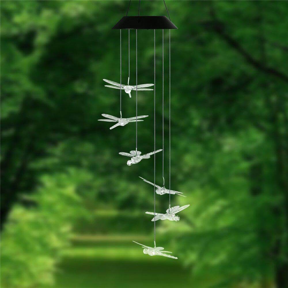 Outdoor LED Solar Hummingbirds DrangFly Lamp | Kalsten